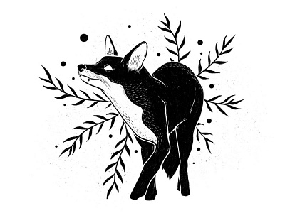 Botanical fox illustration black and white digital illustration fox fox illustration illustration illustrator nature procreate red fox