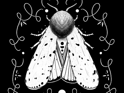 Salt Marsh Moth digital illustration illustration illustrator nature procreate