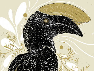 Hornbill bird illustration botanical design digital drawing digital illustration hornbill illustration illustrator nature procreate