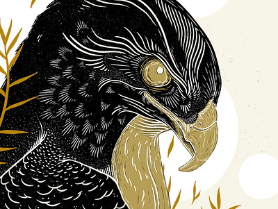 Eagle / Procreate bird illustration blockprint botanical design digital drawing digital illustration eagle illustration illustrator linocut nature printmaking procreate