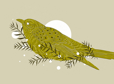Botanical Bird illustration bird botanical digital drawing digital illustration illustration illustrator nature procreate