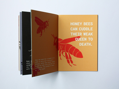Spread zine '9 Weird and Random Facts About Insects book book cover book design booklet illustration illustrator insect insect facts procreate zine zines