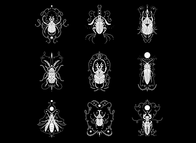 Multiple Ornamental Insects beetle black white digital art digital illustration illustration illustrator insect nature ornamental procreate procreate app procreate art