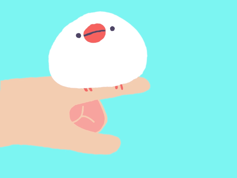 Mochi illustration motion motion design