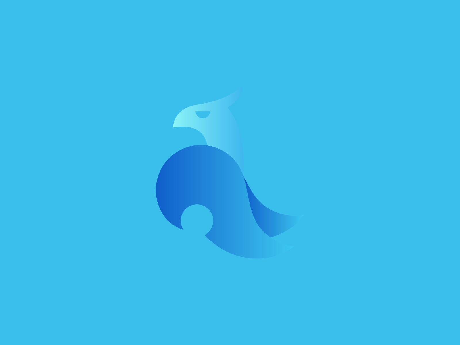 BIRD OF WATER by Alexis Arce on Dribbble