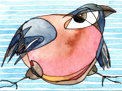 Skating Bullfinch ACEO. 2015 aceo atc bird illustration ink miniature watercolor watercolor art watercolors