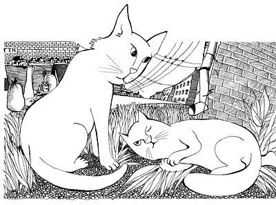 Boy turned into a cat meets a real cat. black and white book illustration cats childrens book childrens illustration fairy tale illustration ink