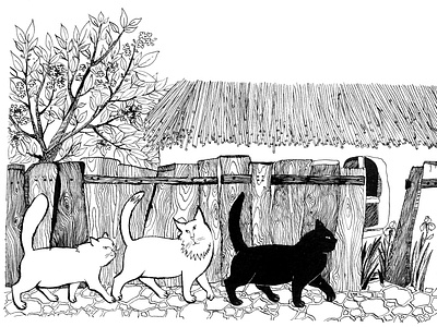 Whiskered hickers black and white book illustration cats childrens book childrens illustration fairy tale illustration ink
