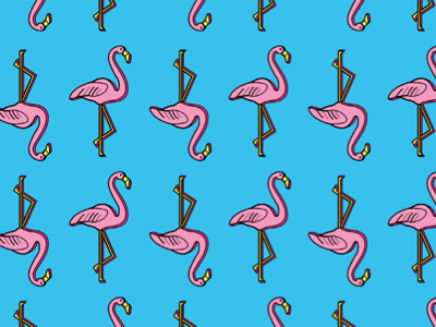 Flamingos