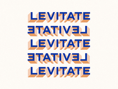LEVITATE blue grain levitate logo new york type