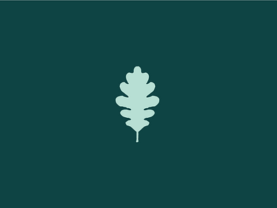Logomark for Oak Bayou Photography icon leaf logo logomark mark oak photography tree