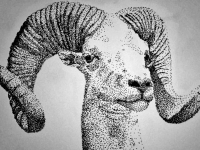 Stippled Ram animal creative dots dotwork illustration ram stippling