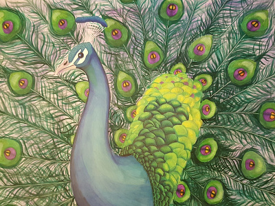 Peacock animal creative illustration markers peacock watercolor