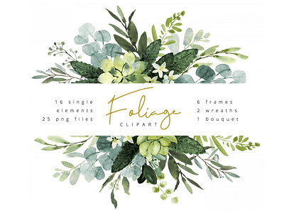 Foliage watercolor clipart