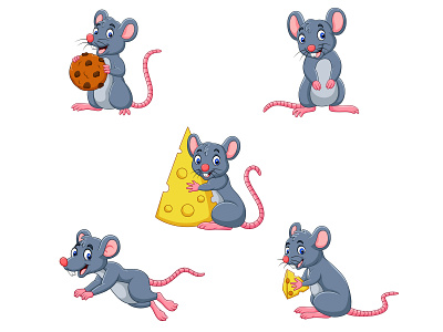 Cartoon mouse collection adobe illustrator animal cartoon artist cartoon character cartoon illustration cartoonist design graphics graphic designer illustrator mascot design mice mouse rat vector illustration vector artist