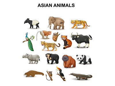 Asian Animals collection animal animal asian animal character animal illustration asia asian cartoon character cartoon illustration cartoonist illustrator mascot design set vector illustration