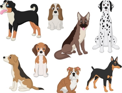 Set of dogs animal breed bulldog canine cartoon character chihuahua collection dachshund dalmatian dog doggy group hound illustration mammal pedigree pet puppy set