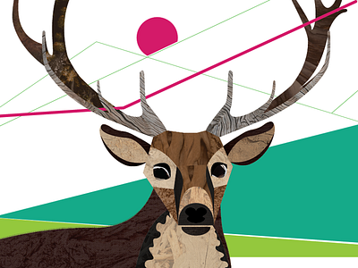 Elk Collage for Work