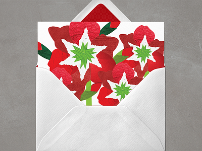 Amaryllis amaryllis christmas card christmas flowers greeting card note card