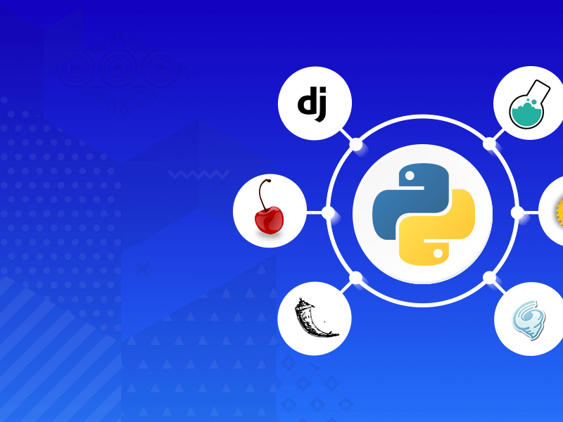 Python web development company in India by Shradha Shukla on Dribbble