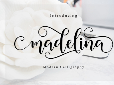 Font Madelina Script calligraphy font design fonts fonts collection illustration lettering logo script typography web