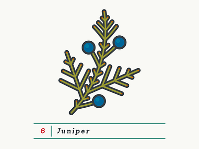 Countdown to The Masters – 6/18 flower golf illustration juniper nature spring tree vector
