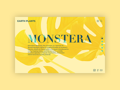 Montstera Template monster template webdesign