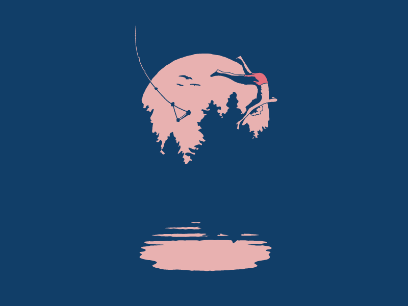 Rope Swing illustraion lake outside fun boy swing motion reflection ripples shadows sun trees birds swim splash water summer