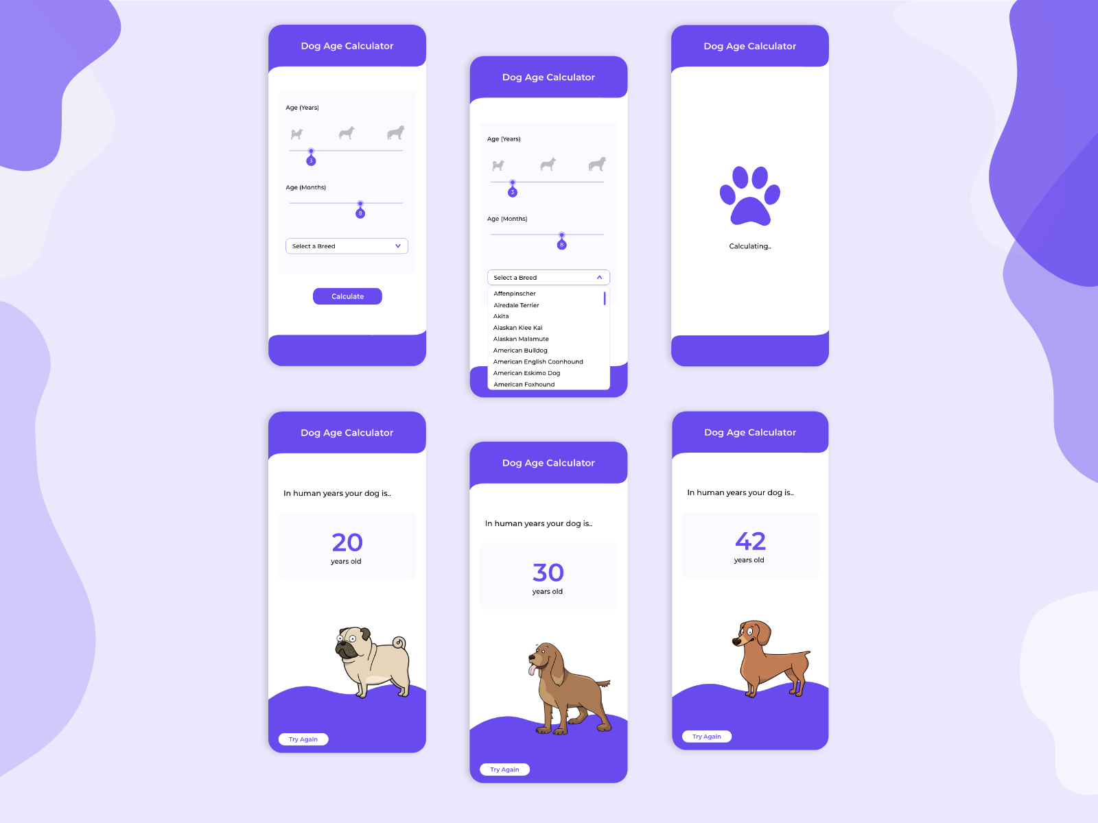 dog-age-calculator-by-jasmine-harwood-on-dribbble