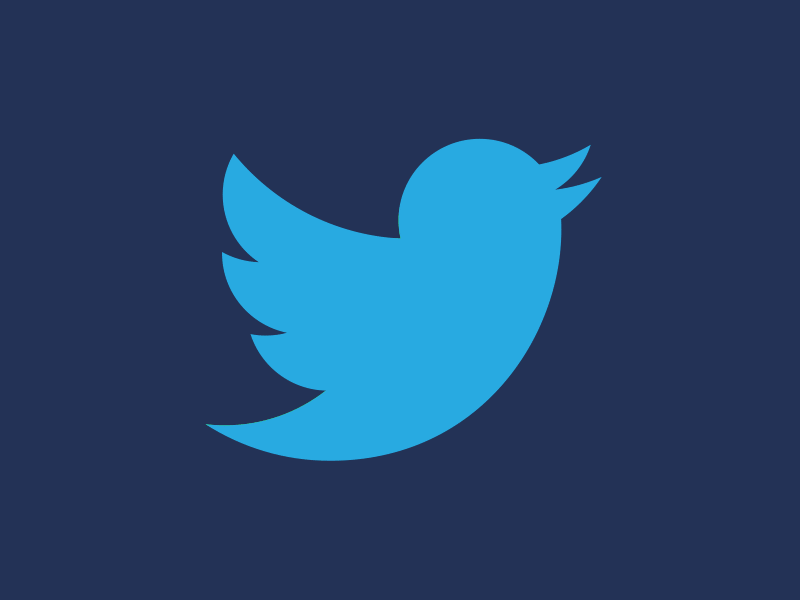 Feed the Bird ae animation bird design gif motion twitter website