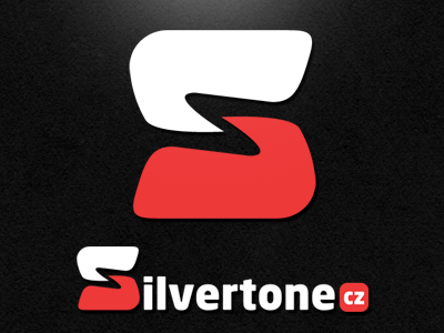 Silvertone logo concept concept logo road