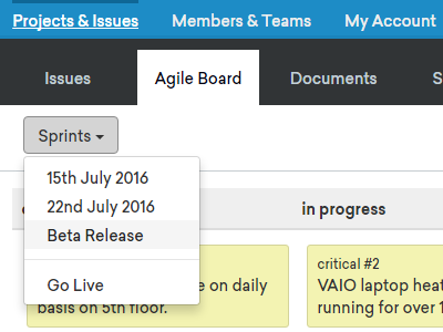 Sprint filtering agile card issue tracker issues kanban project management