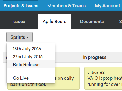 Sprint filtering card issues agile kanban project management issue tracker