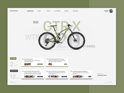 Bike Company - FileMaker Dashboard app bike bikes dashboard design filemaker sketch ui ux web