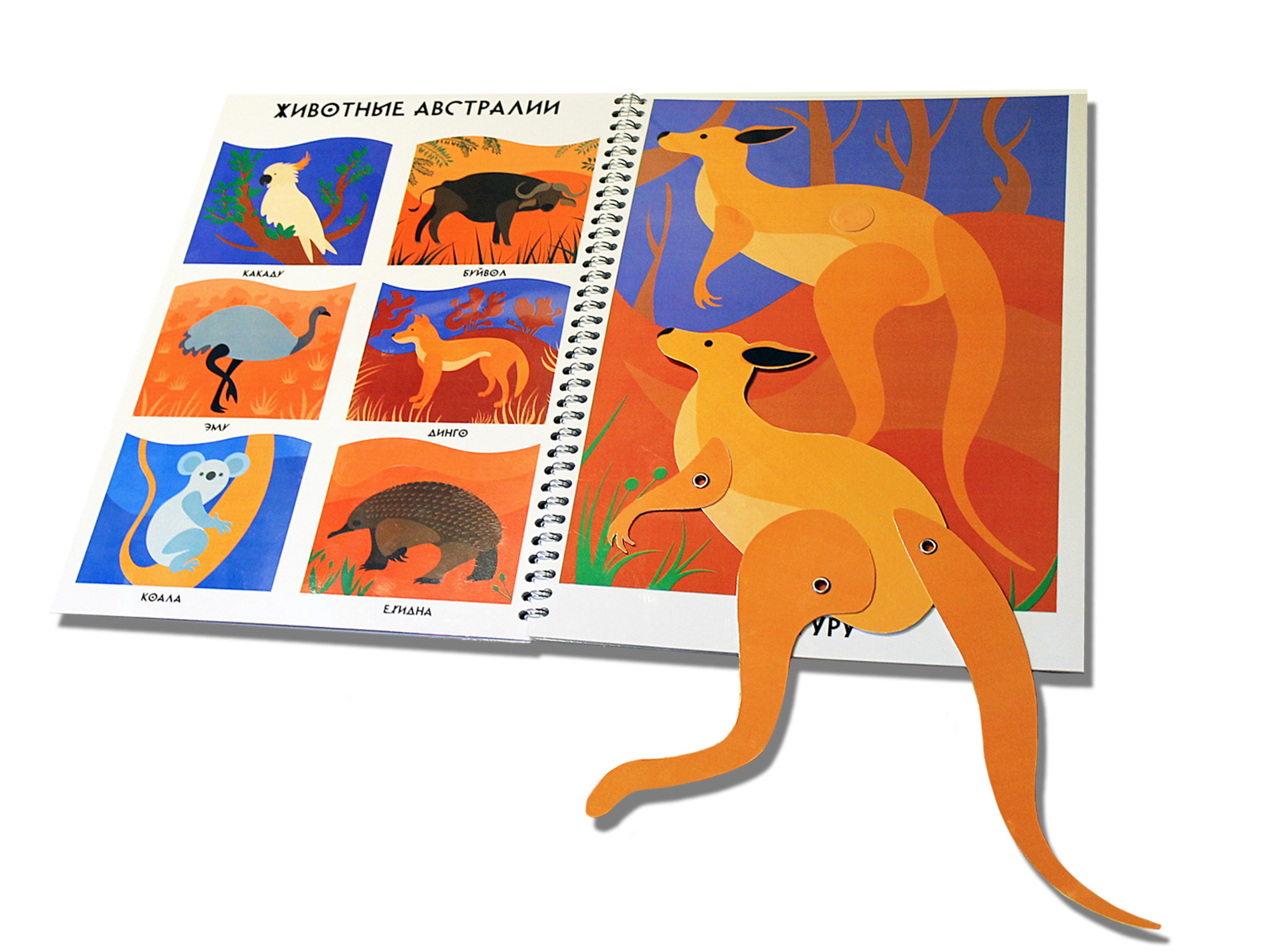 Illustrated children's book (Australia) by Vlada Petsova on Dribbble