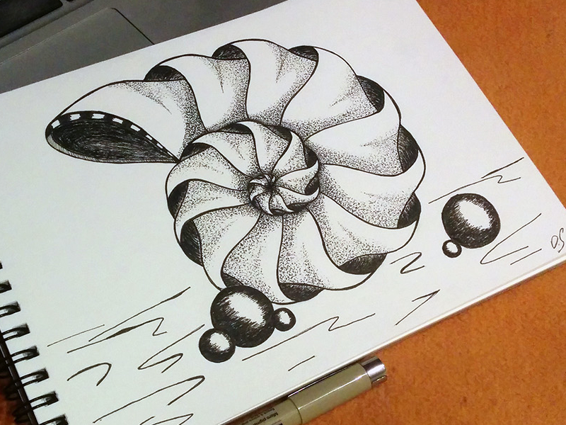 Sketch - shell by Olga on Dribbble