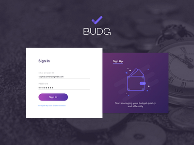 SignIn-SignUp Form app budget form icon service signing signup sketch