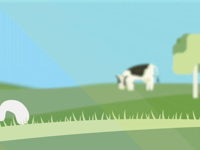 How to rig a cow 2d animation flat design motion design vector