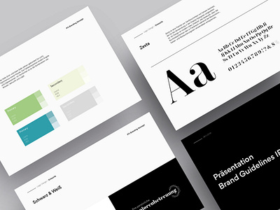 Branding Guidelines By Carabin Prass Creatives On Dribbble