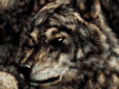 Wolves animal illustration natural nature painting realistic wildlife wolf wolves