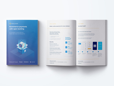TrueLayer report booklet design illustration isometric open banking open finance print report truelayer vector