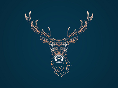 Deer Illustration animal branding deer design forest animal illustration logo minimal vector