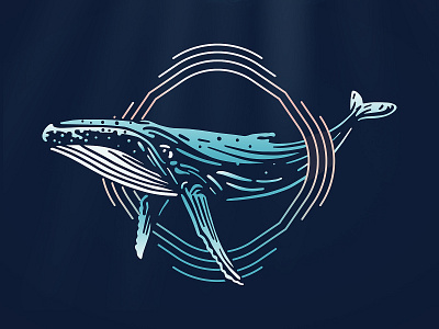 Whale illustration animal branding design humpback whale illustration sea vector whale whale logo