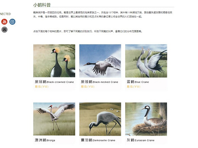 International Crane Foundation CHINA WEBSITE