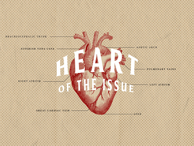 Heart of the Issue anatomy church design church graphic church graphic design design graphic design sermon series vintage