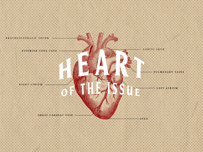 Heart of the Issue