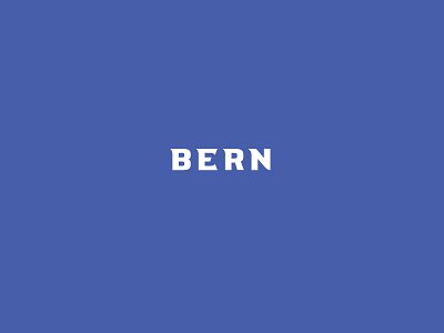 Feel The Bern design logo typogaphy