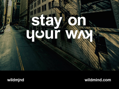 Wildmind Font