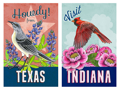 State Bird and Flower Postcards: TX and IN bird illustration birds botanical art illustration nature illustration postcard art vintage style