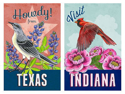 State Bird and Flower Postcards: TX and IN